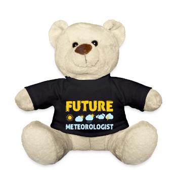 Future Meteorologist Weather Meteorology - Teddy Bear - black - Front