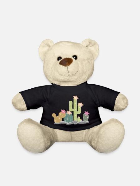 Kakteen Steingarten mit unterschiedlichen Kakteen - Teddy - Schwarz
