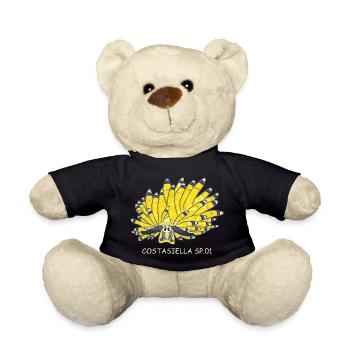 Sea snail, sapsucker, Costasiella sp.01 - Teddy Bear - black - Front