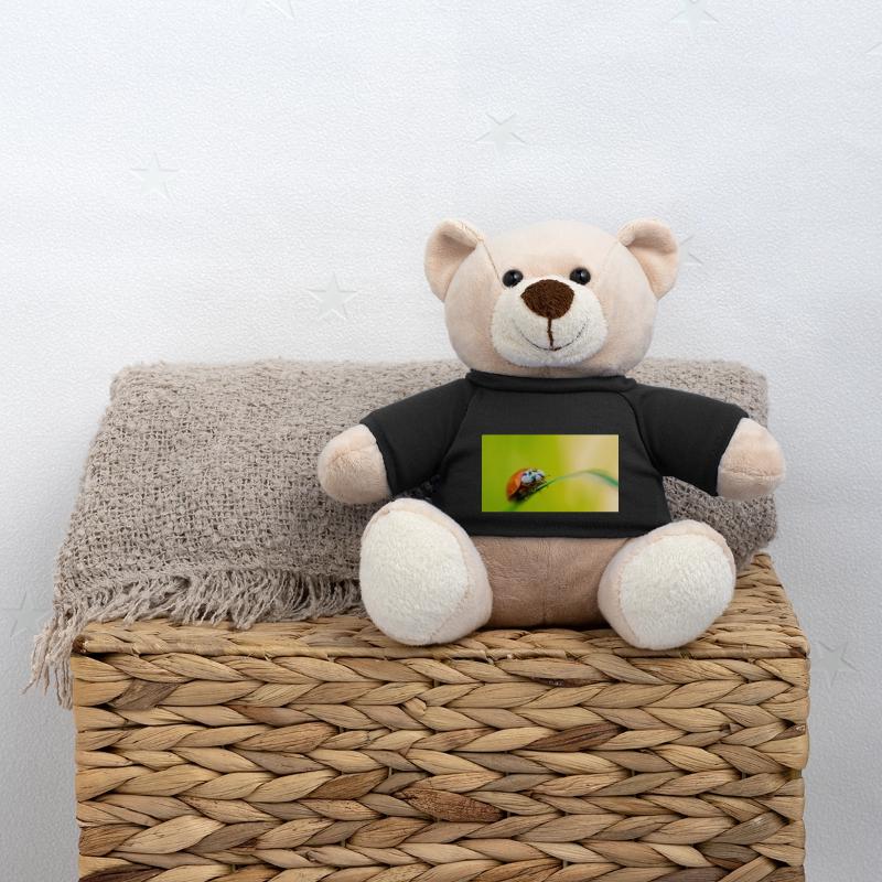 Marienkäfer Teddy