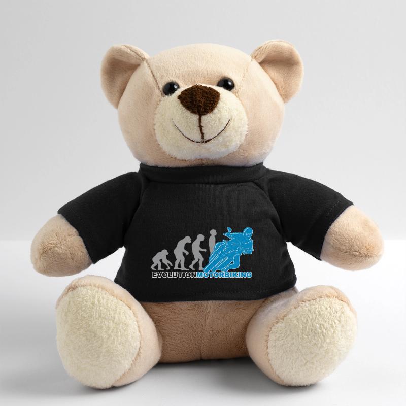 evolution motorbiking, motorrad, motorcycling Teddy