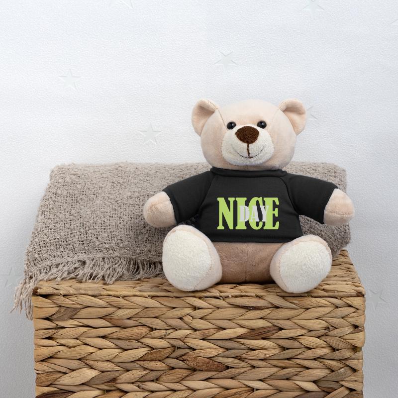 Nice day 1 Teddy