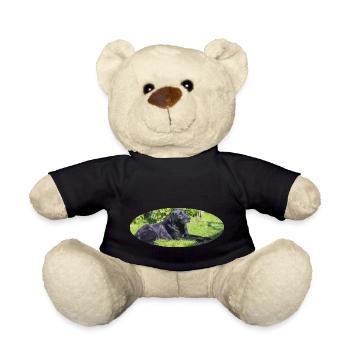 labrador - Teddy Bear - black - Front