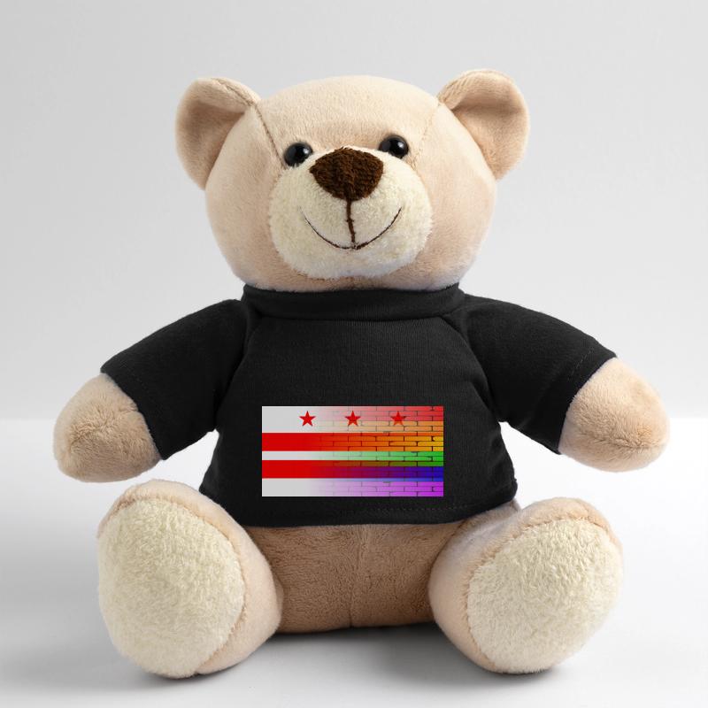 Regenbogenmauer Washington DC Teddy
