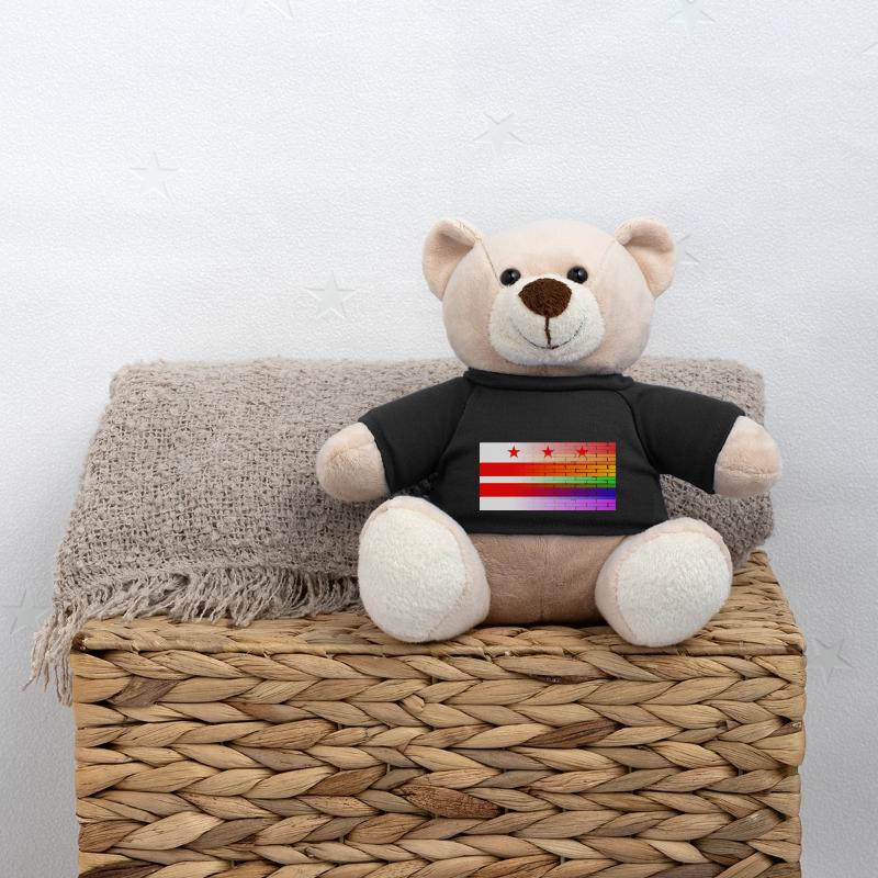 Regenbogenmauer Washington DC Teddy