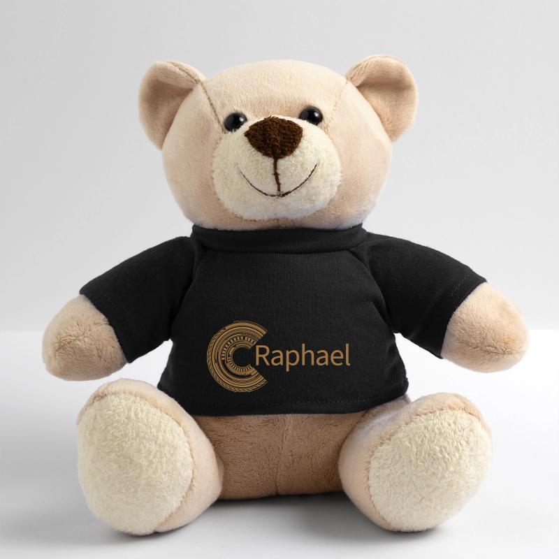 For Raphael Teddy Bear
