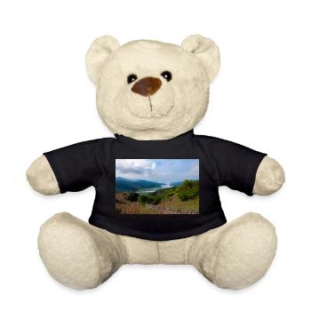 Mawddach Estuary in Snowdonia, North Wales - Teddy Bear - black - Front