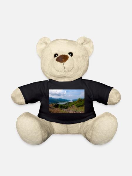 Mawddach Estuary in Snowdonia, North Wales - Teddy Bear - black