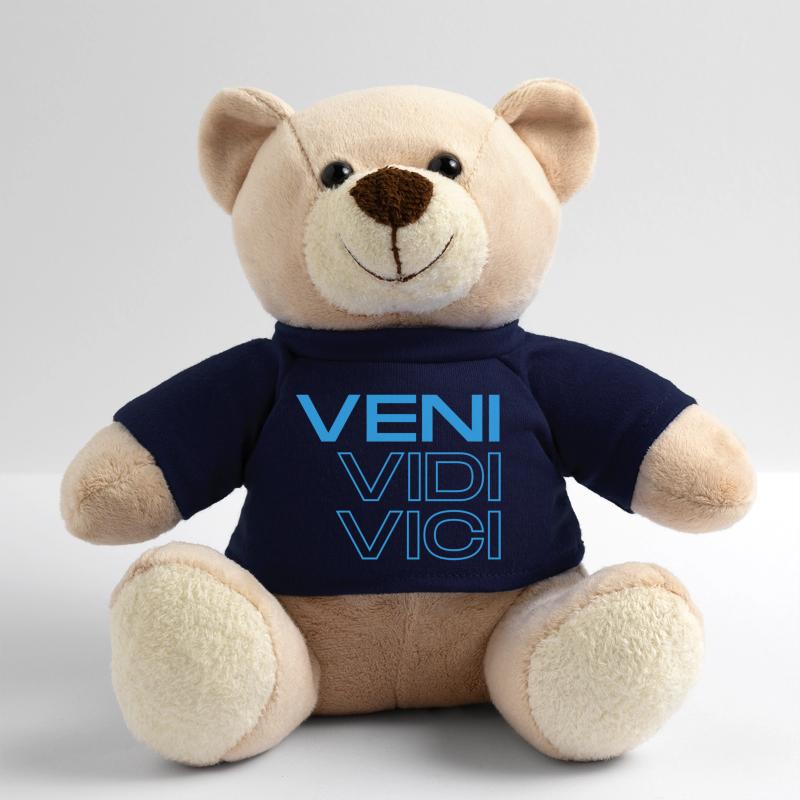 veni, vidi & vici Teddy Bear