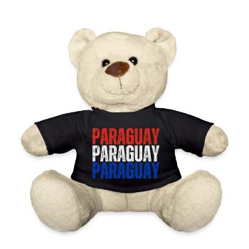 Paraguayan pride, Paraguayan flag - Teddy Bear - black - Front