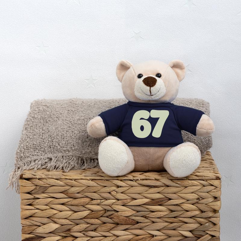 67 Nounours