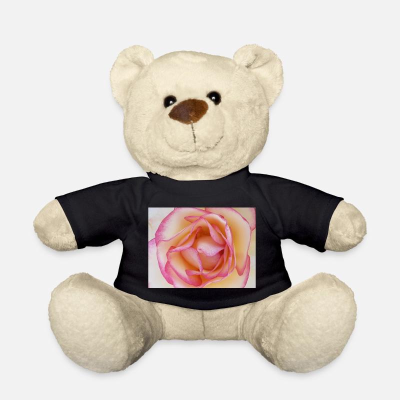 Pale pink rose blossom close-up - Teddy Bear - black