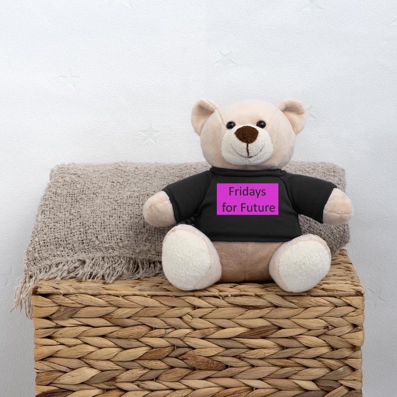 Fridays for Future Slogan pink Teddy