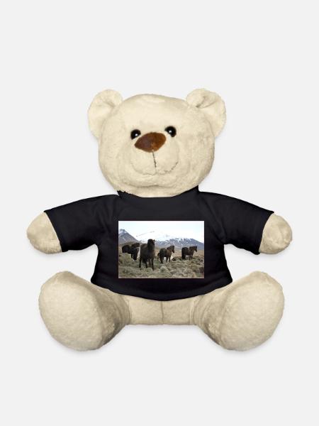 Islandpferde - Teddy - Schwarz