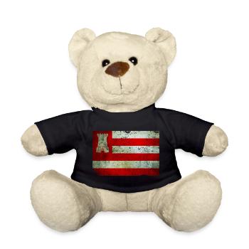 T-Shirt Flagge von Alkmaar Grunge Effekt Nederland - Teddy - Schwarz - Vorne