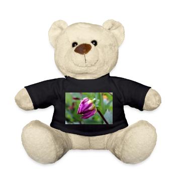 Dahlia Red Violet Blossom ,Flower - Teddy Bear - black - Front