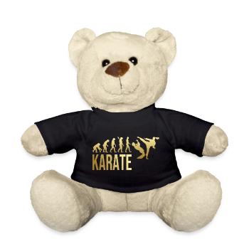 Evolution Karate - Teddy - Schwarz - Vorne