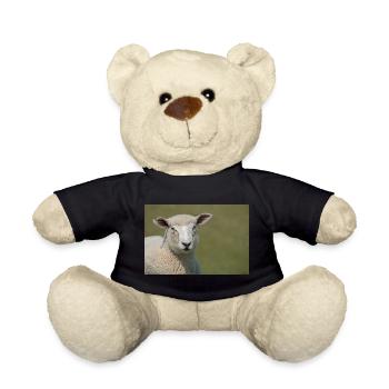 Ein Schaf auf einem Deich Norddeutschland Poster - Teddy - Schwarz - Vorne