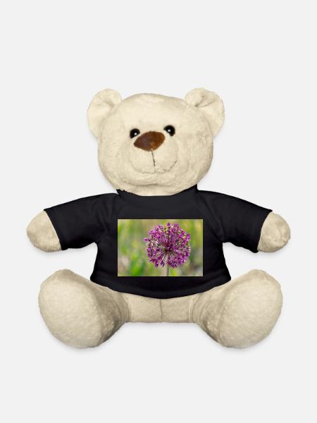 Close-up of a Purple Flower - Giant Leek - Teddy Bear - black