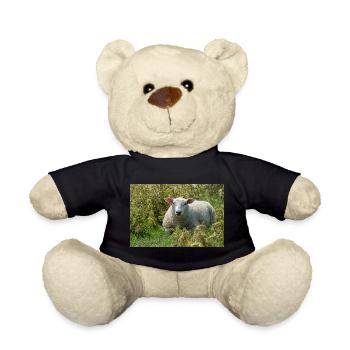 Moutons allongés dans l’herbe - Affiche - Nounours - noir - Devant
