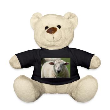 Nahaufnahme eines Schafes - Teddy - Schwarz - Vorne