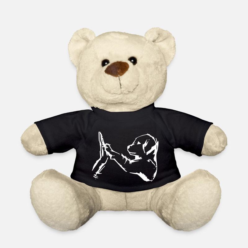 hund gibt 5 - high five - Teddy - Schwarz