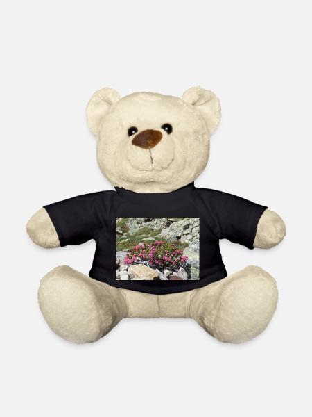 Roses alpines - Nounours - noir
