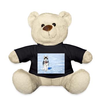 Husky-Welpe im Schnee - Teddy - Schwarz - Vorne