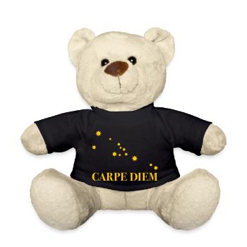 Carpe Diem nutze den Tag Sternbild Stier Horoskop - Teddy - Schwarz - Vorne