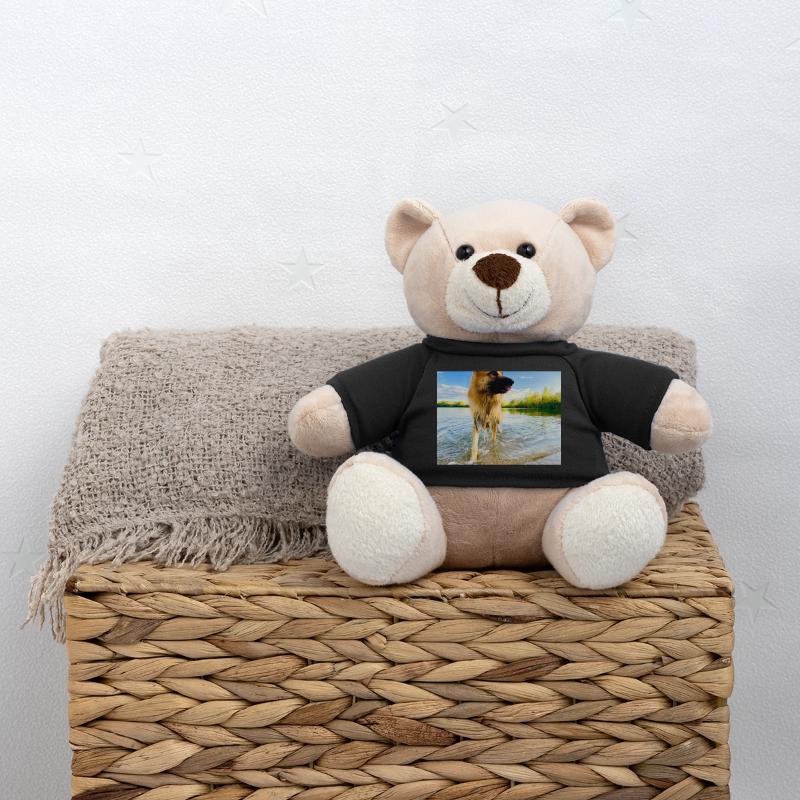 Altdeutscher Schäferhund Teddy