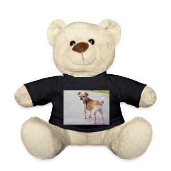 chihuahua, chien, - Nounours - noir - Devant