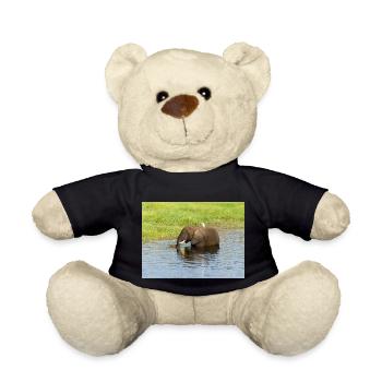 Landschaft im Chobe-Nationalpark auf der Insel Sedudu - Teddy - Schwarz - Vorne