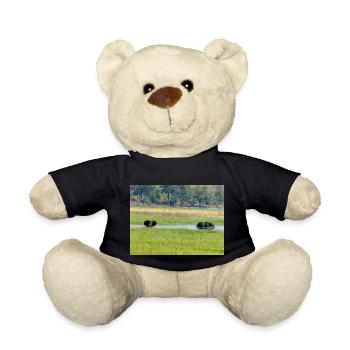 Landschaft im Chobe-Nationalpark auf der Insel Sedudu - Teddy - Schwarz - Vorne