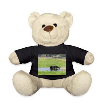 Landschaft im Chobe-Nationalpark auf der Insel Sedudu - Teddy - Schwarz - Vorne