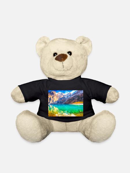 ALPINE PARADISE - Teddy Bear - black
