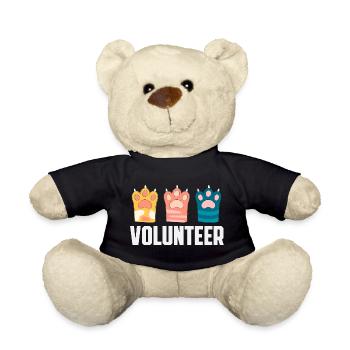 Ehrenamtliche Tierrettung Tierheimkatzen - Teddy - Schwarz - Vorne