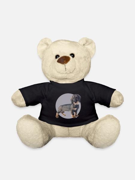 Dackel Welpen - Teddy - Schwarz
