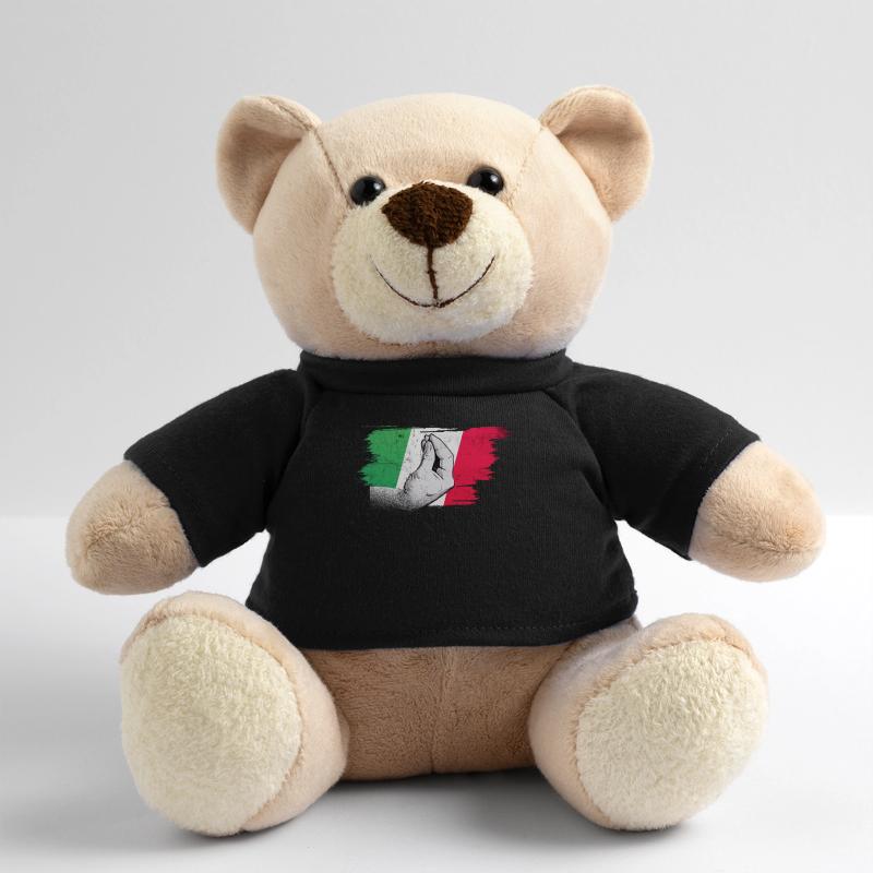 Italian flag with typical hand gesture capisci? Teddy Bear