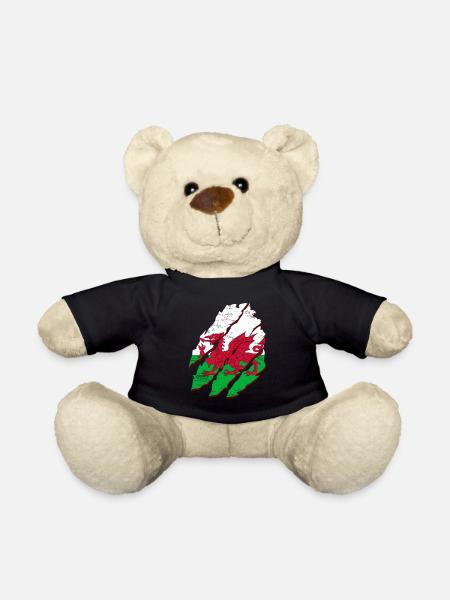 Wales Flag St Davids Day Cymraeg Welsh Coat of Arms - Teddy Bear - black