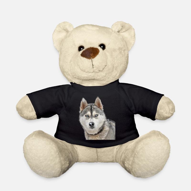 Husky in the snow - Teddy - Schwarz