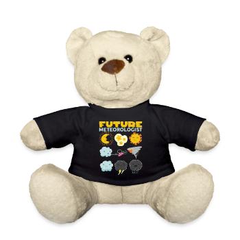Funny Meteorology Meteorologist Weather Lover - Teddy - Schwarz - Vorne