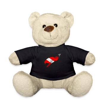 Meeresschildkröte Tauchen Flagge Tauchen Liebhaber - Teddy - Schwarz - Vorne