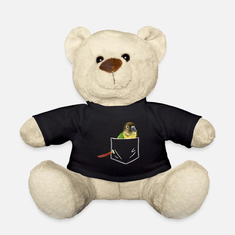 Molinasittich Papagei Vogel Sittich - Teddy - Schwarz