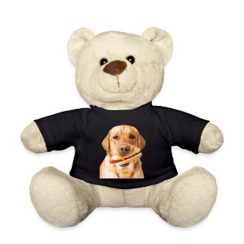 Labrador Retriever - Teddy Bear - black - Front