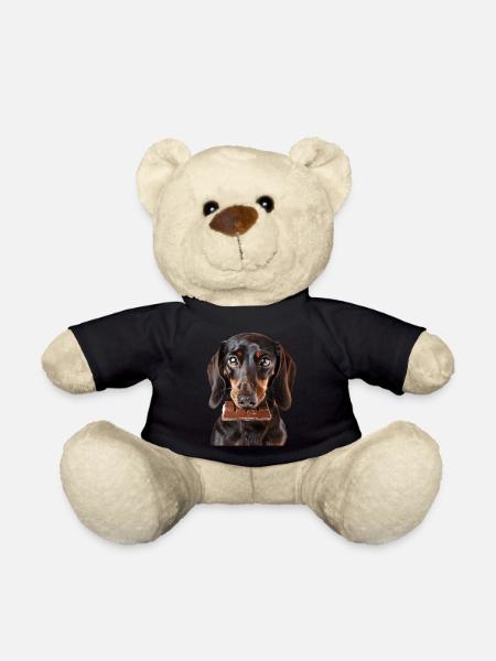 Dackel - Teddy - Schwarz