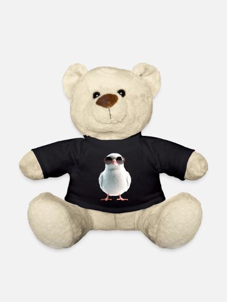 Taube Weiß Stadttaube Ringeltaube Weiße Tauben - Teddy - Schwarz