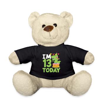 Ich Bin 13 Heute Geburtstag Dinosaurier - Teddy - Schwarz - Vorne