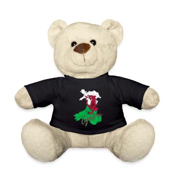 Flagge von Wales, walisischer Stolz - Teddy - Schwarz - Vorne