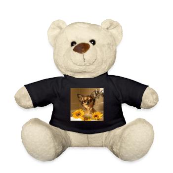Chihuahua - Teddy - Schwarz - Vorne