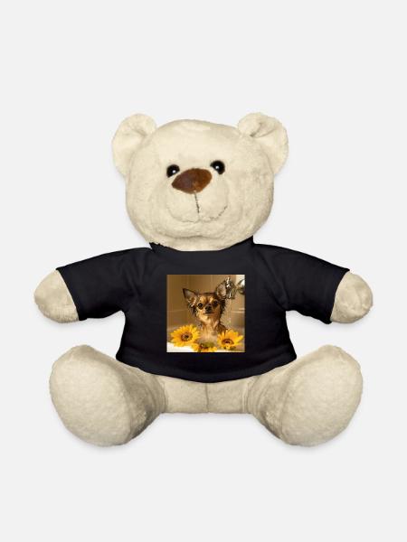 Chihuahua - Teddy - Schwarz